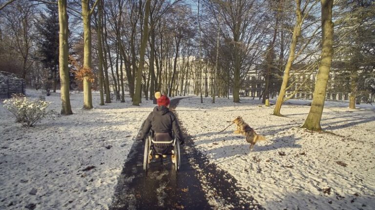 Man sieht eine Rollstuhlfahrerin von hinten, die mit ihrem Hund durch einen verschneiten Park spazierenfährt